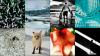 20 лучших фотографий на iPhone за 2014 год