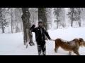 шо здесь происходит?!!!