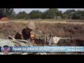 Украина 29-30.06.2014 События. Последние новости Украины сегодня