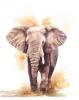 Введение в PostgreSQL BDR