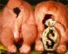 Россия усилила контроль за продукцией птицеводства из США