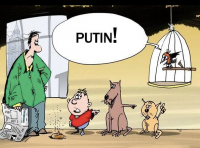Кто виноват?