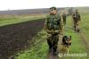 Минобороны: наблюдатели не нашли у РФ нарушений на границе с Украиной
