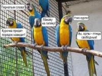 Свобода, равенство, братство