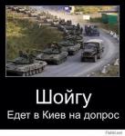 Шойгу едет на допрос в Киев