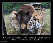 сходка БРИКС