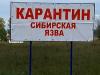 В татарском селе объявлен карантин по сибирской язве, есть заболевший