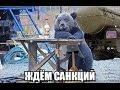 Доренко про санкции