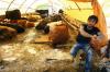 Турция решила поставлять в Россию молоко и мед