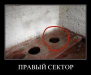 Правый сектор