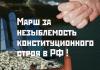 Задержан один из организаторов скандального марша в Новосибирске