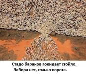 Эту картинку Макаревич выложил в фейсбуке с припиской «Всё про нас»
