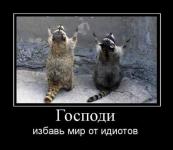 Они тоже с нами.