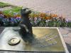 В Елабуге бездомной собаке поставят памятник-копилку