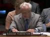 Чуркин сравнил дискуссию в Совбезе ООН с «королевством кривых зеркал»