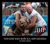 Украинские войска окружены со всех сторон