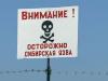 Двое работников молочной фермы в Ростовской области заразились от коровы сибирской язвой