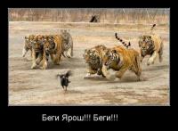 Воспоминания о будущем 2