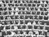 ЕС ошибается (Европе нужно вводить санкции не против России, а против США)