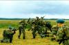 Десантников перебросят на Курилы в ходе проверки войск ВВО