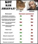 Кот или либерал?