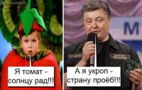 Ну-ка фрукты встаньте в ряд…
