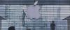 Apple выпустит «золотой» iPad, но поклонников-то этим не удивишь