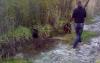 Полиция ХМАО начала проверку по факту издевательств над медвежонком (18+)