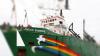 Суд Голландии грозит Greenpeace штрафами за действия против «Газпрома»
