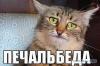 Феерическая расстановка точек над «законом Ротенберга»