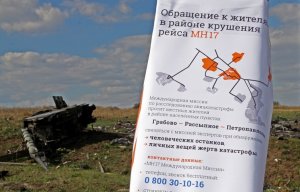 Место крушения малайзийского Boeing под Донецком не охраняется, доступ к нему свободный