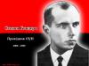 На вопрос «Что вы здесь делаете?» незнакомец вытянул руку с газетным свёртком вперёд и выстрелил в область лица
