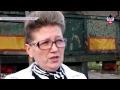 Украина направила в Новороссию больных свиней