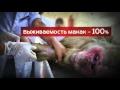 Эбола Эпидемия из пробирки 2014 Фильм Ольги Скабеевой
