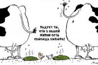 Выборы состоялись