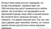 Когда птица жива, она есть муравьев