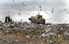 ЖКХ может подорожать на 15 процентов из-за мусора