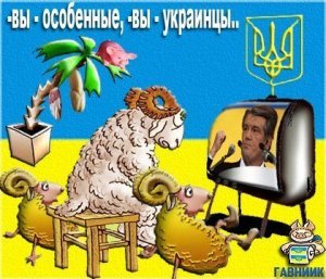 «Свидомые патриоты», вы действительно «особенные»: я «каюсь» в том, что не верил в это раньше…