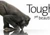 Защитное стекло Gorilla Glass 4 сможет выдержать удар об асфальт