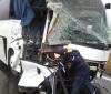 Виновницей ДТП с рейсовым автобусом «Нальчик – Москва» стала собака