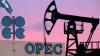 Алжир призвал ОПЕК сократить добычу нефти