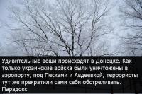 удивительное рядом