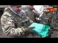 Красный Партизан взят под контроль ДНР. Строго 18+