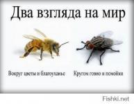 Два взгляда на мир