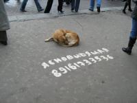 Ванга, служить!