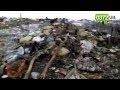 Видео с позиций ВСУ под Дебальцево