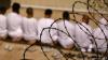 США отказались предоставить Германии доклад ЦРУ о пытках