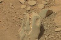 На Марсе обнаружили череп травоядного динозавра