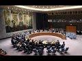 Заседание Совбеза ООН по Украине (2:35ч)