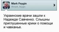 Хорошие новости от адвоката Савченко Фейгина